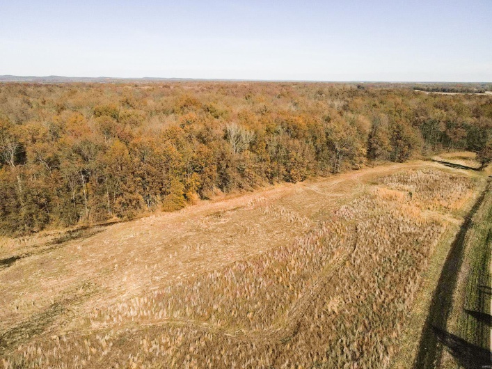 26989 Highway 51, Puxico, Missouri 63960, ,Land,For Sale,Highway 51,MAR21084668