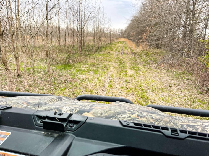 0 Highway 53- Wetland acreage, Campbell, Missouri 63933, ,Farm,For Sale,Highway 53- Wetland acreage,MAR23026050