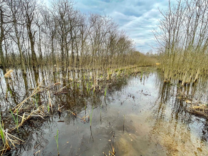 0 Highway 53- Wetland acreage, Campbell, Missouri 63933, ,Farm,For Sale,Highway 53- Wetland acreage,MAR23026050