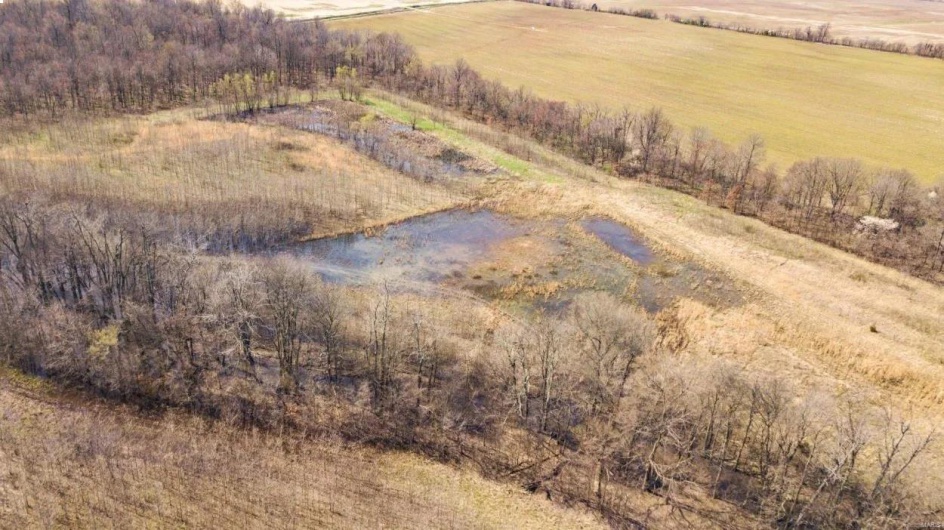 0 Highway 53- Wetland acreage, Campbell, Missouri 63933, ,Farm,For Sale,Highway 53- Wetland acreage,MAR23026050
