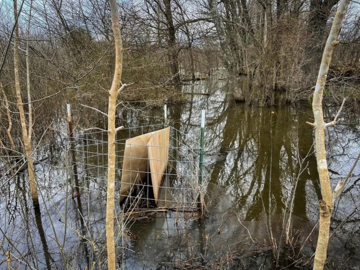 0 Highway 53- Wetland acreage, Campbell, Missouri 63933, ,Farm,For Sale,Highway 53- Wetland acreage,MAR23026050