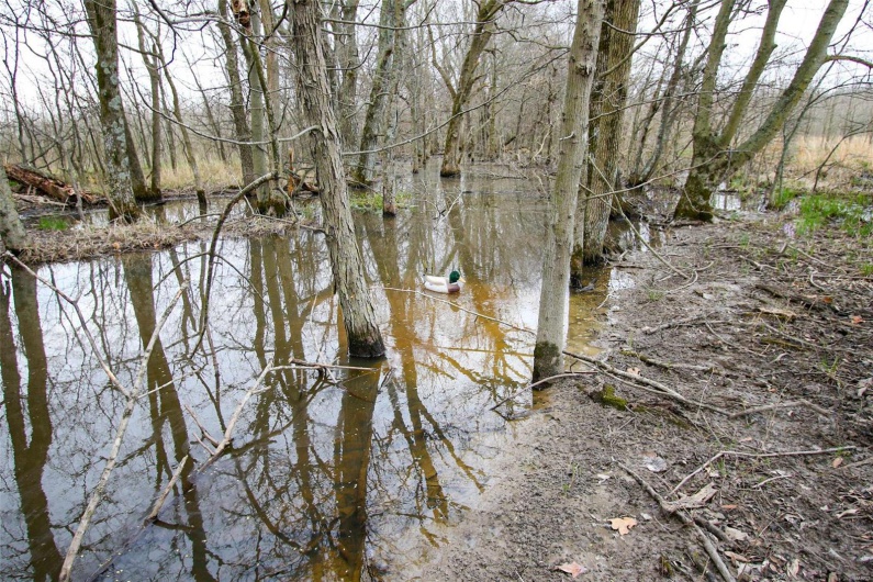 0 Highway 53- Wetland acreage, Campbell, Missouri 63933, ,Farm,For Sale,Highway 53- Wetland acreage,MAR23026050