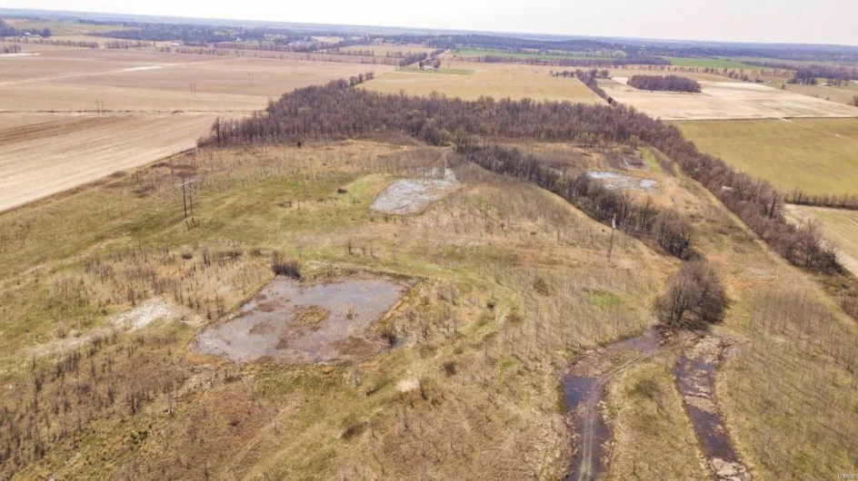 0 Highway 53- Wetland acreage, Campbell, Missouri 63933, ,Farm,For Sale,Highway 53- Wetland acreage,MAR23026050