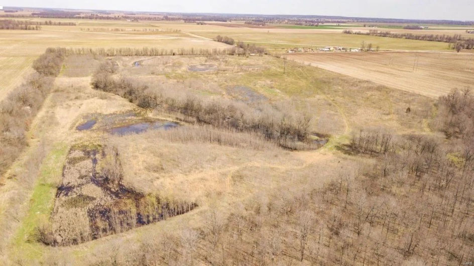 0 Highway 53- Wetland acreage, Campbell, Missouri 63933, ,Farm,For Sale,Highway 53- Wetland acreage,MAR23026050