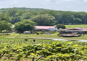 315 Forman Lane, Belknap, Illinois 62908, 0 , 0 ,0,Commercial Sale,For Sale,Forman,0,RMAEB449411