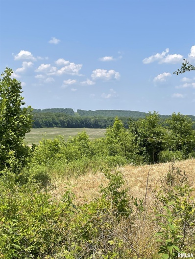315 Forman Lane, Belknap, Illinois 62908, 0 , 0 ,0,Commercial Sale,For Sale,Forman,0,RMAEB449411