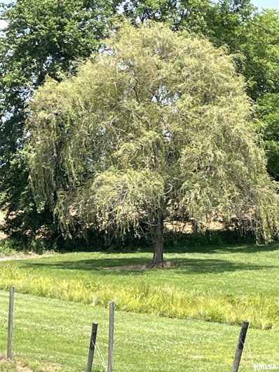 315 Forman Lane, Belknap, Illinois 62908, 0 , 0 ,0,Commercial Sale,For Sale,Forman,0,RMAEB449411