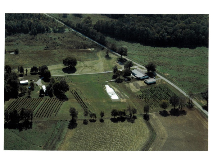 315 Forman Lane, Belknap, Illinois 62908, 0 , 0 ,0,Commercial Sale,For Sale,Forman,0,RMAEB449411