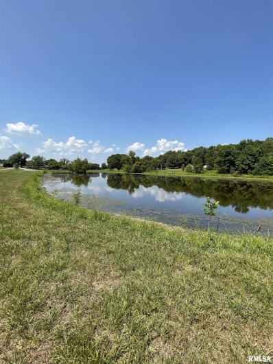 315 Forman Lane, Belknap, Illinois 62908, 0 , 0 ,0,Commercial Sale,For Sale,Forman,0,RMAEB449411