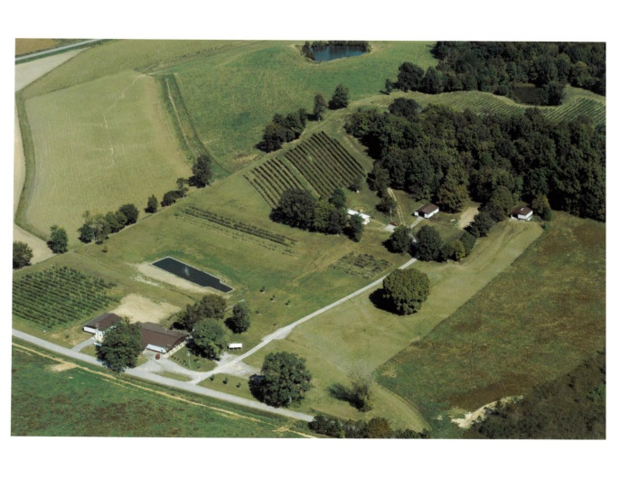 315 Forman Lane, Belknap, Illinois 62908, 0 , 0 ,0,Commercial Sale,For Sale,Forman,0,RMAEB449411