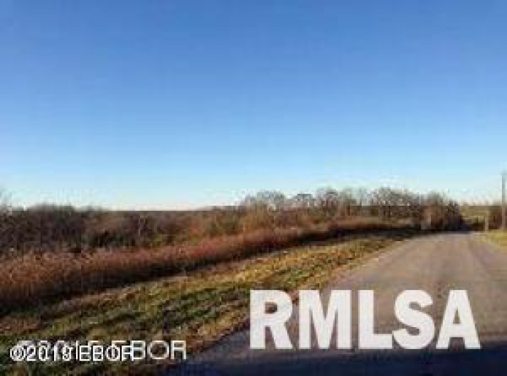 0000 Parrish Ridge Lane, Goreville, Illinois 62939, 0 , 0 ,0,Land,For Sale,Parrish Ridge,0,RMAEB431497