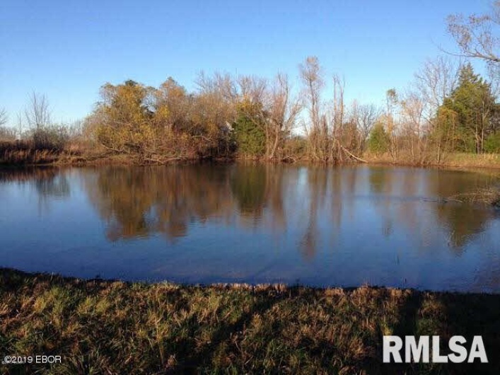 0000 Parrish Ridge Lane, Goreville, Illinois 62939, 0 , 0 ,0,Land,For Sale,Parrish Ridge,0,RMAEB431497