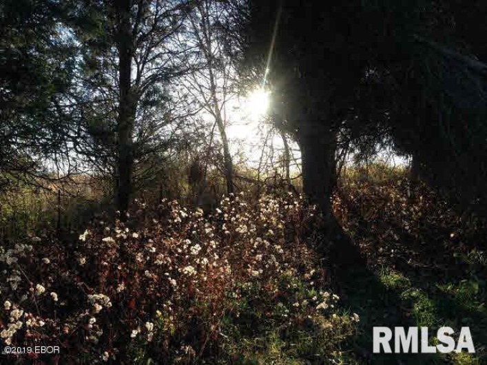 0000 Parrish Ridge Lane, Goreville, Illinois 62939, 0 , 0 ,0,Land,For Sale,Parrish Ridge,0,RMAEB431497