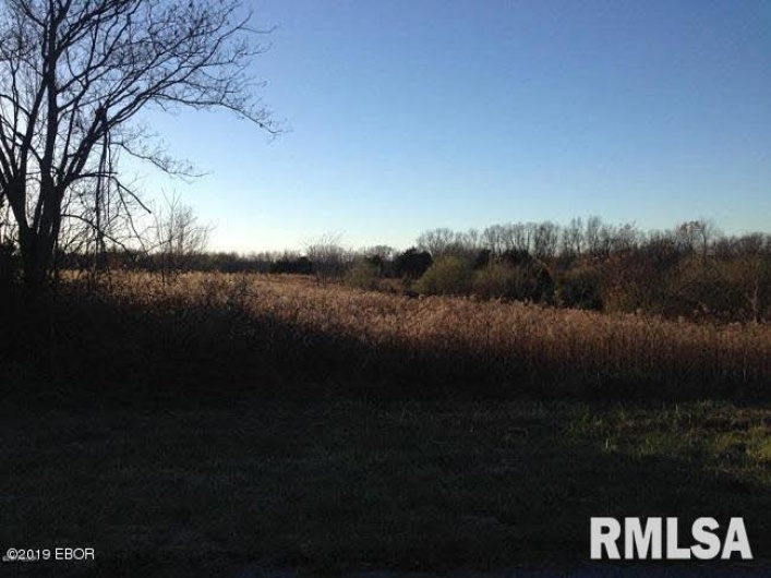 0000 Parrish Ridge Lane, Goreville, Illinois 62939, 0 , 0 ,0,Land,For Sale,Parrish Ridge,0,RMAEB431497