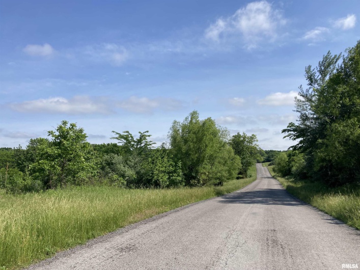 0000 Parrish Ridge Lane, Goreville, Illinois 62939, 0 , 0 ,0,Land,For Sale,Parrish Ridge,0,RMAEB431497