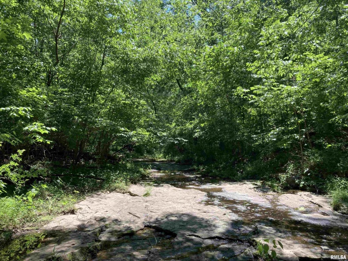 0000 Parrish Ridge Lane, Goreville, Illinois 62939, 0 , 0 ,0,Land,For Sale,Parrish Ridge,0,RMAEB431497