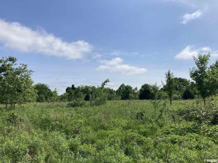 0000 Parrish Ridge Lane, Goreville, Illinois 62939, 0 , 0 ,0,Land,For Sale,Parrish Ridge,0,RMAEB431497
