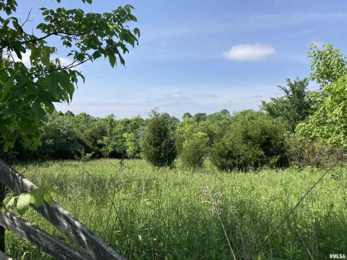 0000 Parrish Ridge Lane, Goreville, Illinois 62939, 0 , 0 ,0,Land,For Sale,Parrish Ridge,0,RMAEB431497