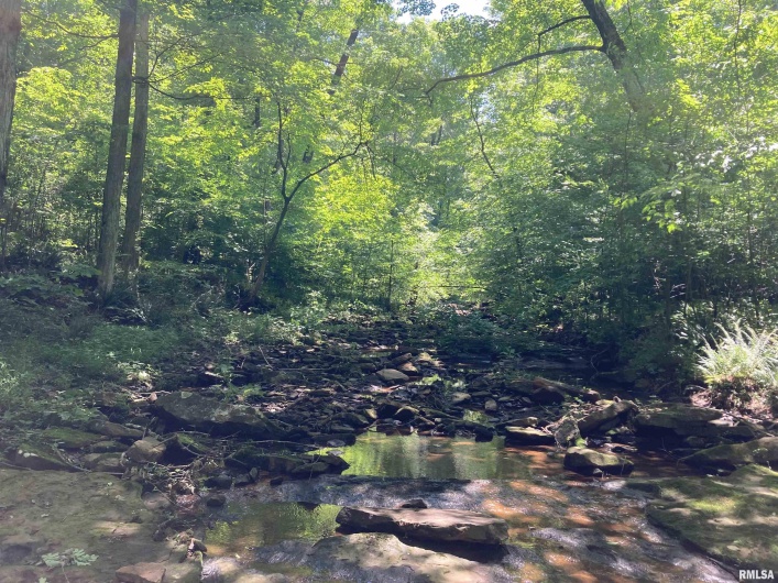 0000 Parrish Ridge Lane, Goreville, Illinois 62939, 0 , 0 ,0,Land,For Sale,Parrish Ridge,0,RMAEB431497