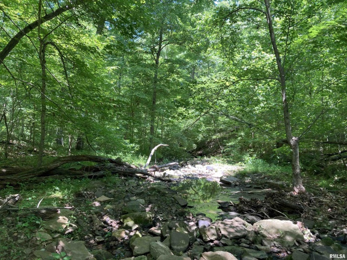0000 Parrish Ridge Lane, Goreville, Illinois 62939, 0 , 0 ,0,Land,For Sale,Parrish Ridge,0,RMAEB431497