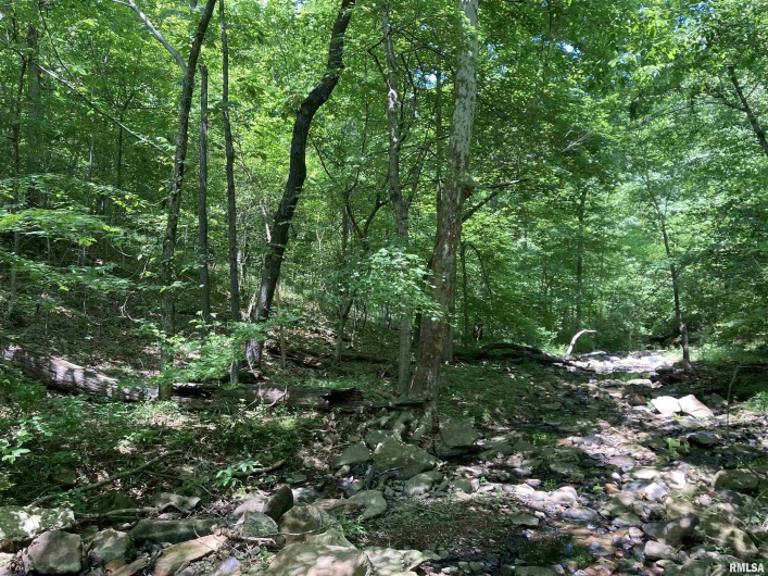 0000 Parrish Ridge Lane, Goreville, Illinois 62939, 0 , 0 ,0,Land,For Sale,Parrish Ridge,0,RMAEB431497