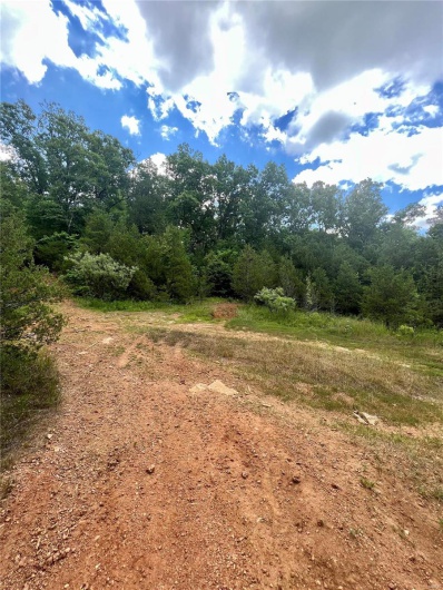 9100 Hill Drive, Bonne Terre, Missouri 63628, ,Land,For Sale,Hill,MAR23039676