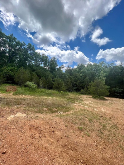 9100 Hill Drive, Bonne Terre, Missouri 63628, ,Land,For Sale,Hill,MAR23039676