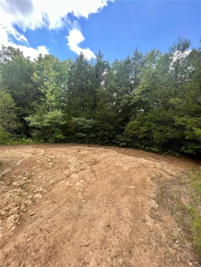 9100 Hill Drive, Bonne Terre, Missouri 63628, ,Land,For Sale,Hill,MAR23039676
