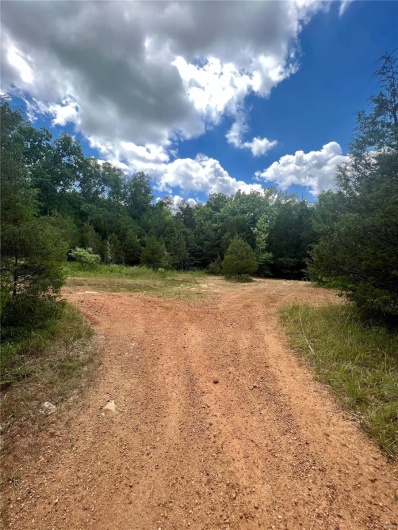 9100 Hill Drive, Bonne Terre, Missouri 63628, ,Land,For Sale,Hill,MAR23039676
