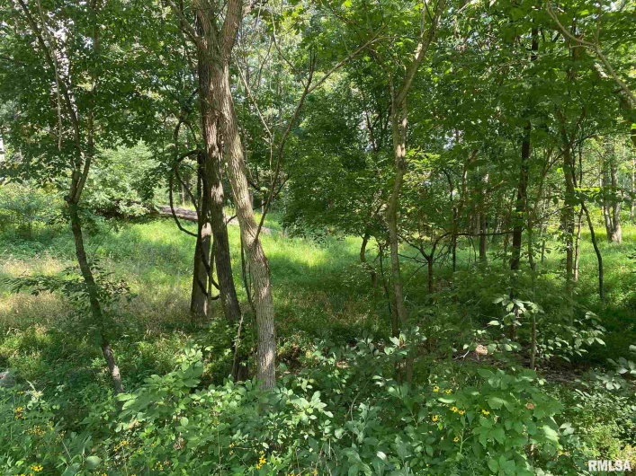 000 INDIAN CREEK Drive, Goreville, Illinois 62939, 0 , 0 ,0,Land,For Sale,INDIAN CREEK,0,RMAEB440914
