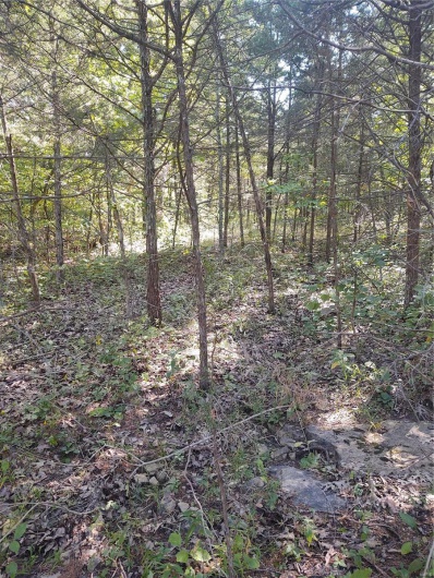0 Rue Celeste, Bonne Terre, Missouri 63628, ,Land,For Sale,Rue Celeste,MAR23042099