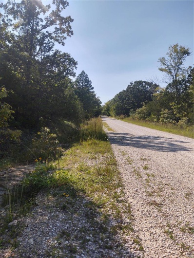 0 Rue Celeste, Bonne Terre, Missouri 63628, ,Land,For Sale,Rue Celeste,MAR23042099