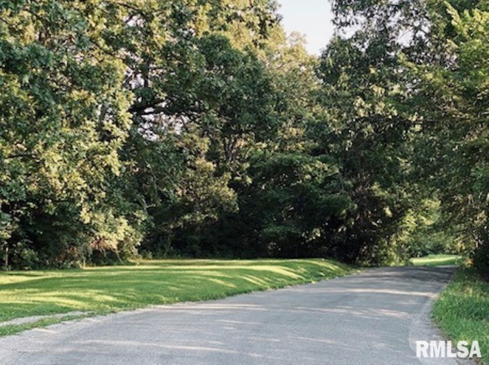 Lot 5 FALCON Road, Carbondale, Illinois 62901, 0 , 0 ,0,Land,For Sale,FALCON,0,RMAEB449933