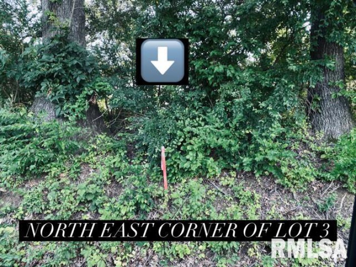 Lot 5 FALCON Road, Carbondale, Illinois 62901, 0 , 0 ,0,Land,For Sale,FALCON,0,RMAEB449933