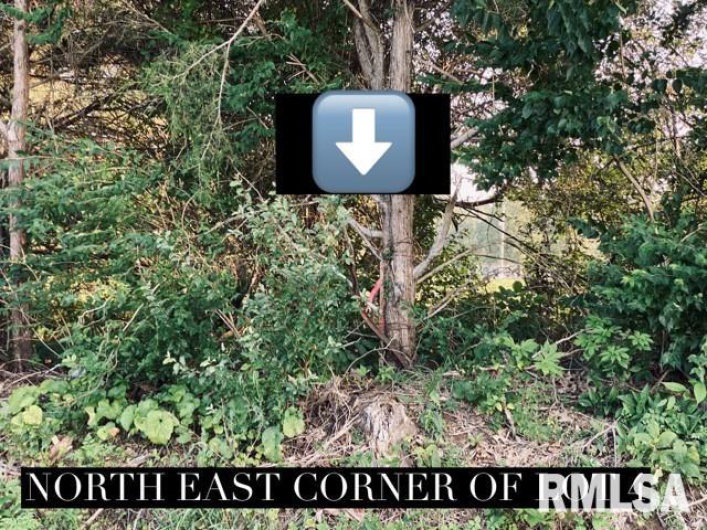 Lot 5 FALCON Road, Carbondale, Illinois 62901, 0 , 0 ,0,Land,For Sale,FALCON,0,RMAEB449933
