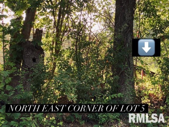 Lot 5 FALCON Road, Carbondale, Illinois 62901, 0 , 0 ,0,Land,For Sale,FALCON,0,RMAEB449933