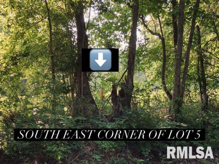 Lot 5 FALCON Road, Carbondale, Illinois 62901, 0 , 0 ,0,Land,For Sale,FALCON,0,RMAEB449933