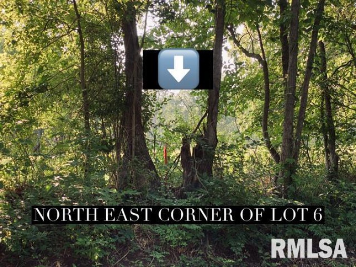 Lot 5 FALCON Road, Carbondale, Illinois 62901, 0 , 0 ,0,Land,For Sale,FALCON,0,RMAEB449933