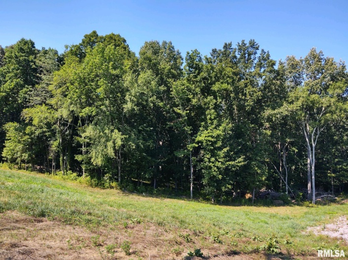 6215 Buncombe Road, Vienna, Illinois 62995, 7 Bedrooms Bedrooms, 0 ,3 BathroomsBathrooms,Residential,For Sale,Buncombe,0,RMAEB450075
