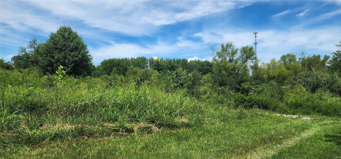 85 Maggie Lane, Makanda, Illinois 62958, ,Land,For Sale,Maggie,MAR23048502