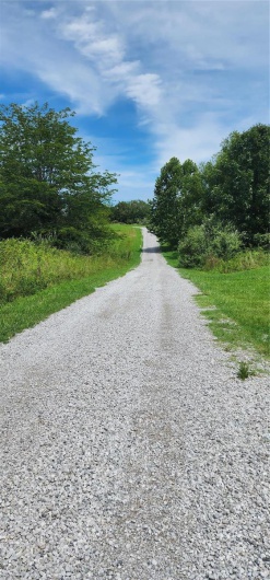 85 Maggie Lane, Makanda, Illinois 62958, ,Land,For Sale,Maggie,MAR23048502