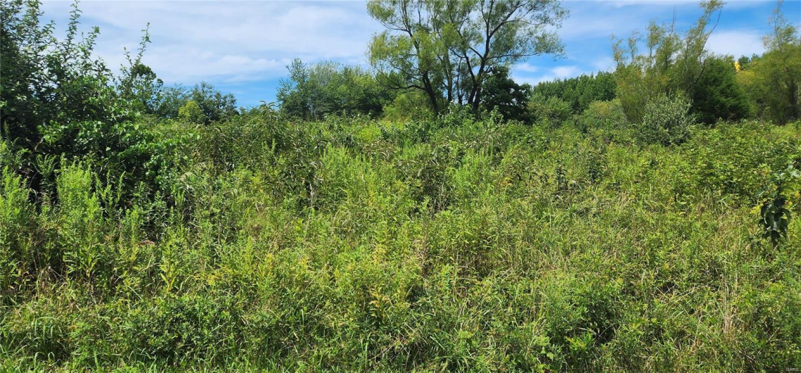 85 Maggie Lane, Makanda, Illinois 62958, ,Land,For Sale,Maggie,MAR23048502
