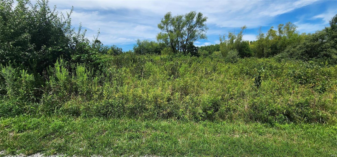 85 Maggie Lane, Makanda, Illinois 62958, ,Land,For Sale,Maggie,MAR23048502