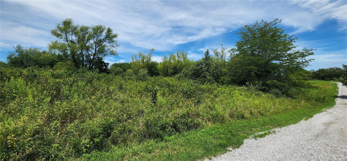 85 Maggie Lane, Makanda, Illinois 62958, ,Land,For Sale,Maggie,MAR23048502