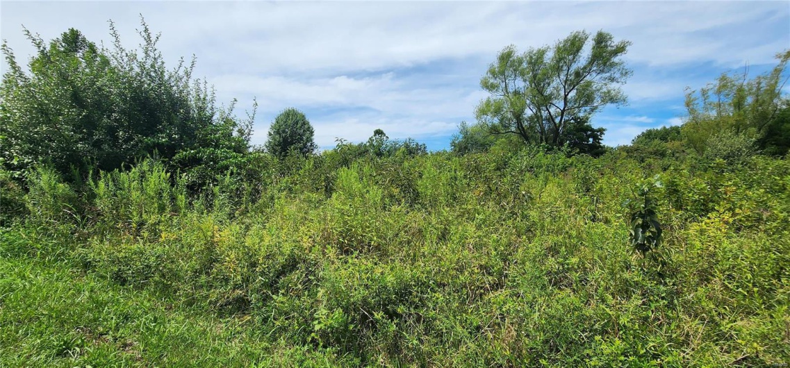 85 Maggie Lane, Makanda, Illinois 62958, ,Land,For Sale,Maggie,MAR23048502
