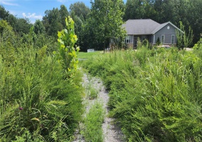 85 Maggie Lane, Makanda, Illinois 62958, ,Land,For Sale,Maggie,MAR23048502