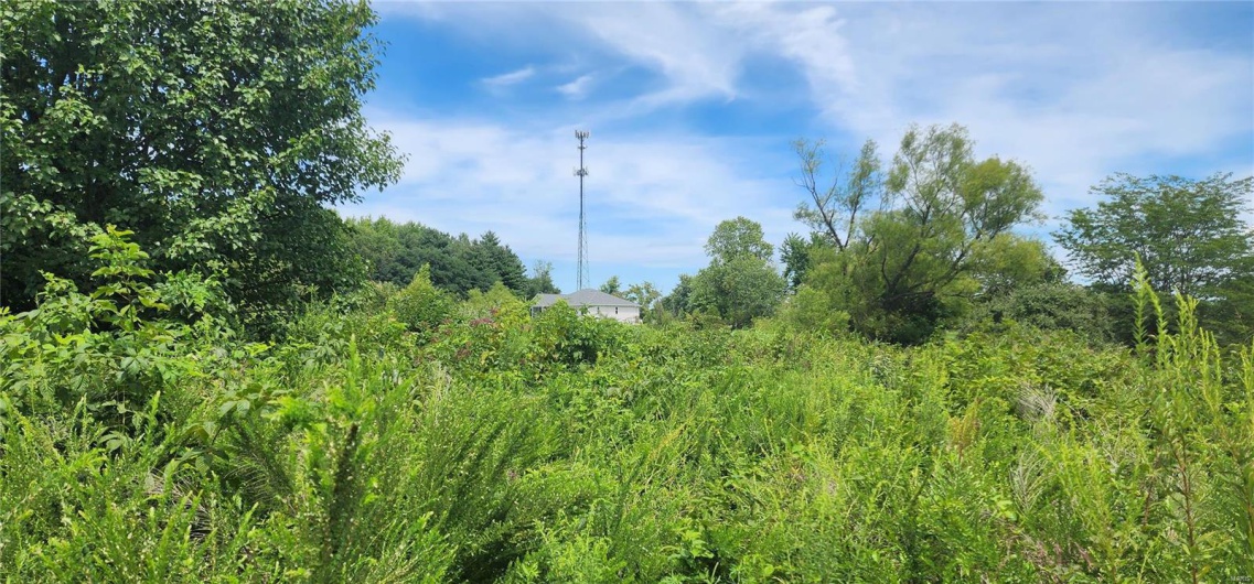 85 Maggie Lane, Makanda, Illinois 62958, ,Land,For Sale,Maggie,MAR23048502
