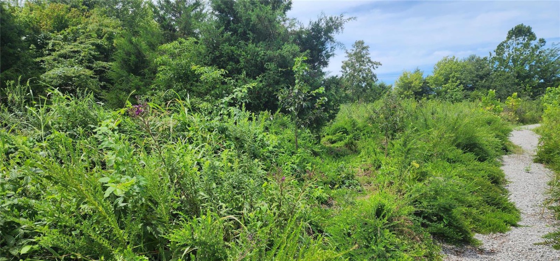 85 Maggie Lane, Makanda, Illinois 62958, ,Land,For Sale,Maggie,MAR23048502