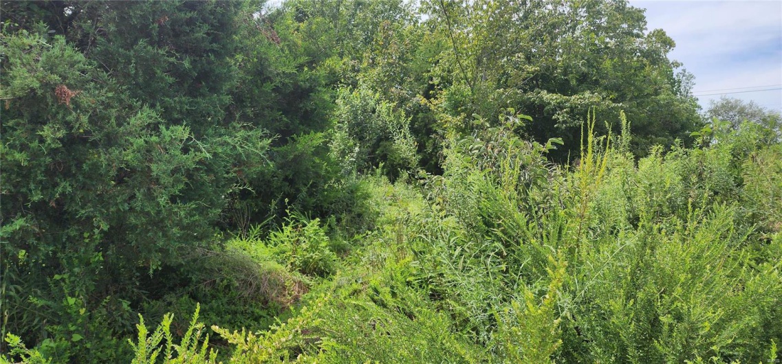 85 Maggie Lane, Makanda, Illinois 62958, ,Land,For Sale,Maggie,MAR23048502