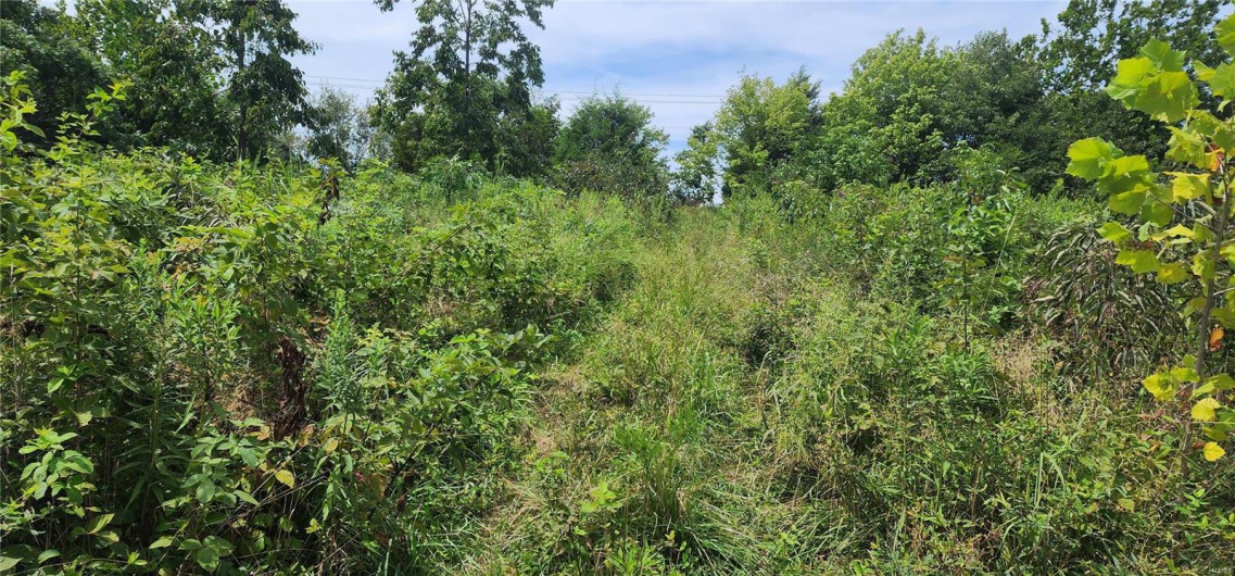 85 Maggie Lane, Makanda, Illinois 62958, ,Land,For Sale,Maggie,MAR23048502